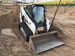Bobcat Т590 (болотный)